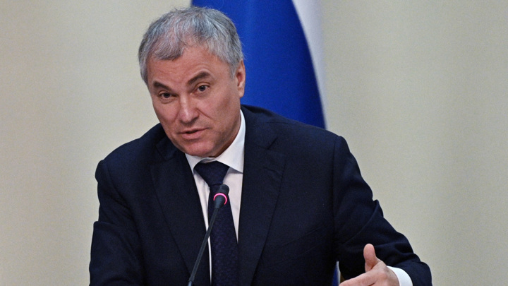 Володин: на рассмотрении в Госдуме &ndash; 28 проектов по миграционной политике