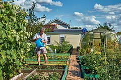 Дачникам раскрыли преимущества продажи участка через МФЦ