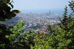 Россиянам раскрыли зарубежные города с самыми дешевыми апартаментами летом